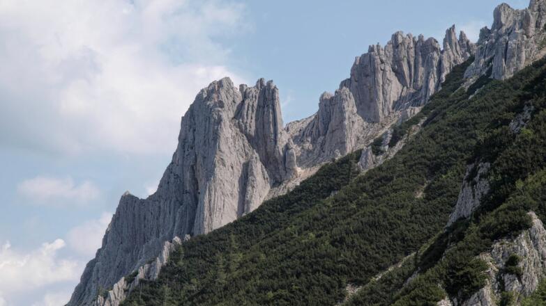Seehagelmauern im Zoom
