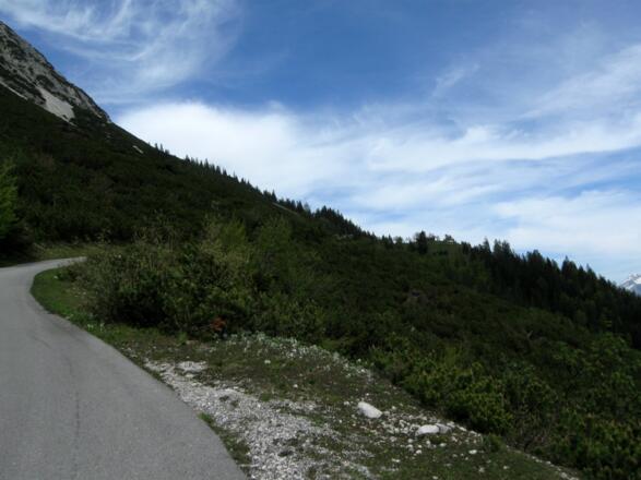 Die letzten Höhenmeter vor der Alm ziehen sich ein wenig, weil man die Alm schon vor Augen har.