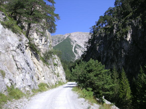 Forststrasse zur Alfuzalm