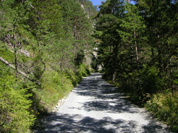 Forststrasse zur Alfuzalm