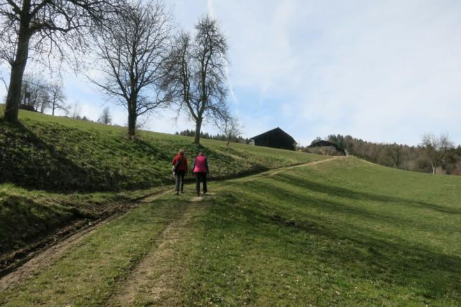 Von der Aumühle zurück nach Grein