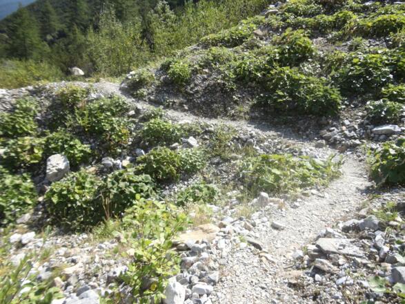 Kurz nach dem Abzweig in Richtung Obernberger See