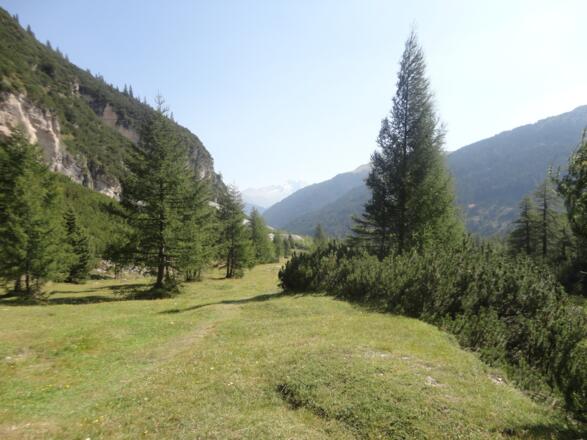 Rückblick in das Obernberger Tal hinein