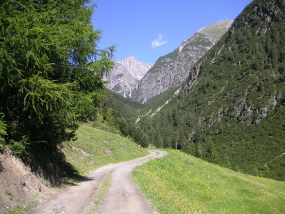 Forststrasse zur Alfuzalm