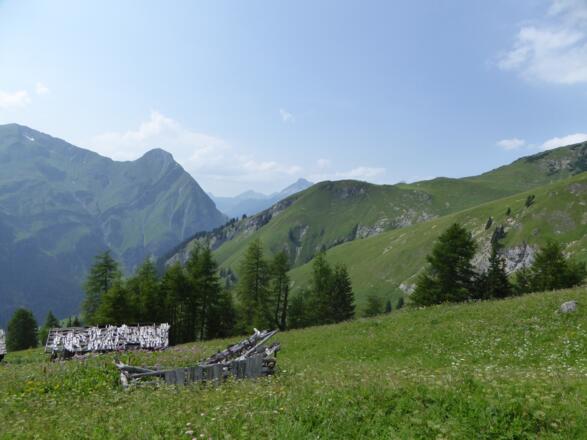 Drosbergalpe mit Blick auf den Pimig