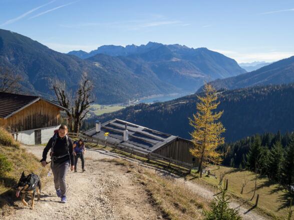 Aufstieg auf einfachen Wegen oberhalb des Achensees