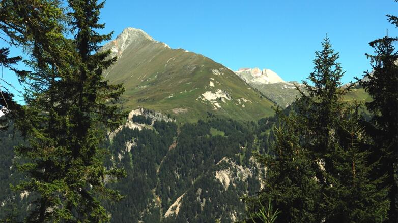 Der Nussing, im Hintergrund ein Teil der Wellachköpf