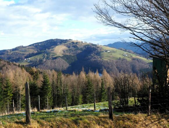 Gmundnerberg vom Waldrand (760m)