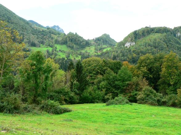 Kulturlandschaft über dem Wendbachtal