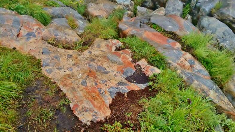 Terrazzo Muster verschiedener Gesteinsarten