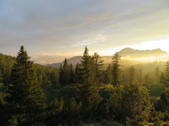 Über die Schartenalm zum Gamsfeld und Wilder Jäger