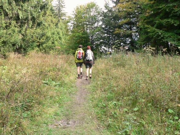 Über den breiten Grat Richtung Osten zur Anton-Schosser-Hütte