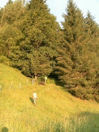 Einstieg Kräuterlehrpfad