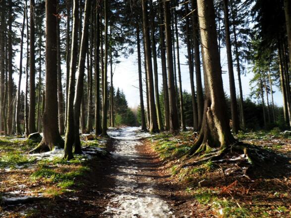 Schlussanstieg um 990m