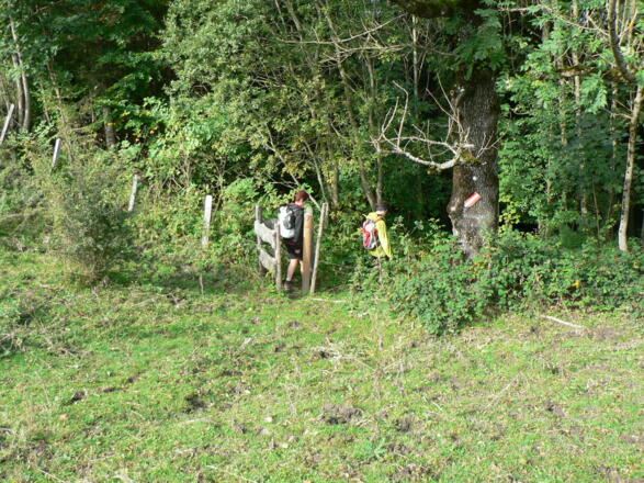 Wir verlassen das Weidegebiet
