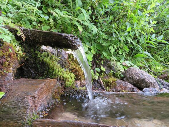 Das Brünndl der Dichterinquelle