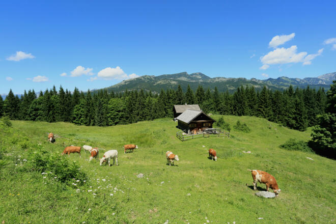Die Route führt auch über die malerische Gschwendtalm. 