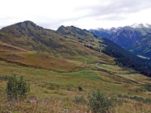 Blick zu den Ochsenhofer Köpfen
