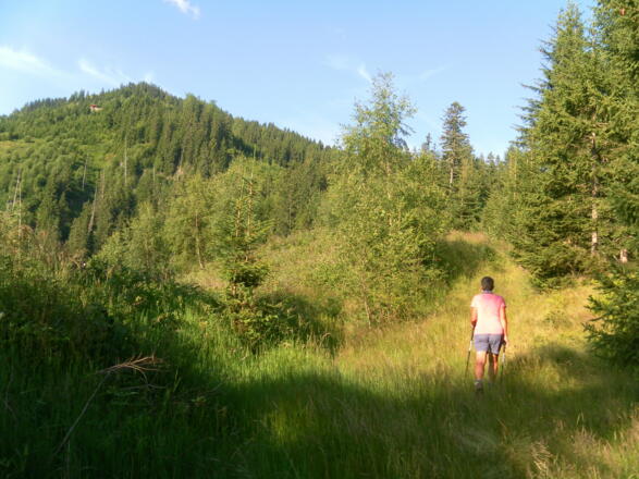 kurze Abflachung des Bergrückens