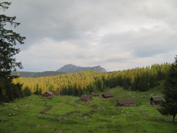 Auf der Schartenalm