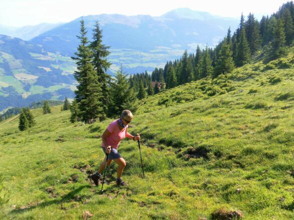 Nordflanke über der Geralm