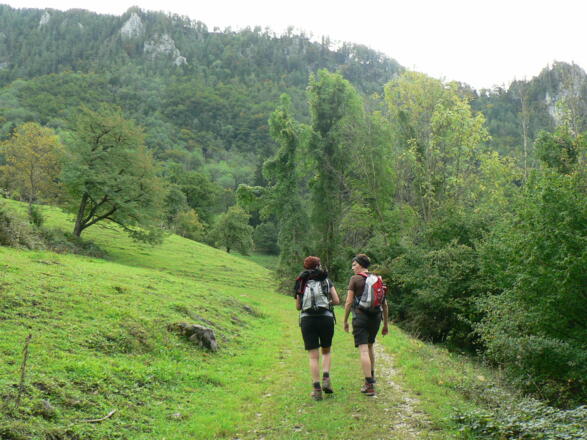 ... bis uns der Weg über Weidegelände hinauf zum Hintsteiner führt - im Hintergrund die Hohe Dirn