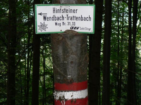 ... bis wir wieder auf den Aufstiegsweg treffen