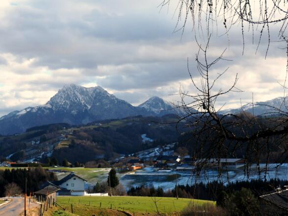 Traunsteinblick von 700m