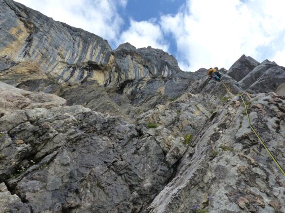 Route 1, Entzug tut nicht gut