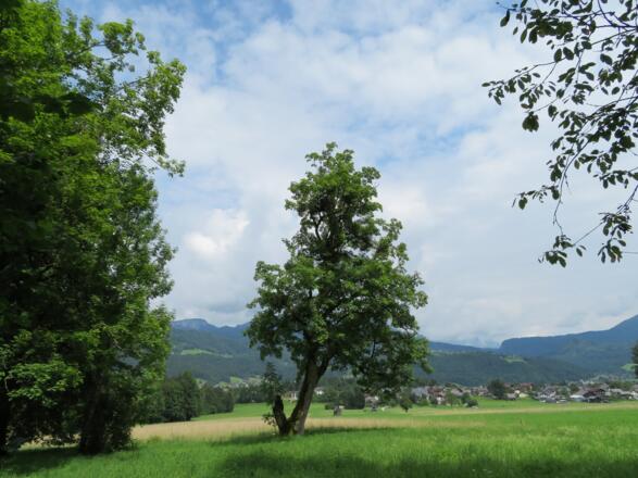 Blick über die Ramsau bei Bad Goisern