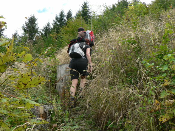 Ein kurzes Stück über einen Schlag ...