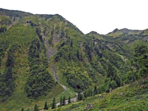 Das Tal des Turabaches