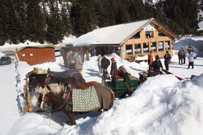 Kohlstatthütte - Blinkender Hirsch