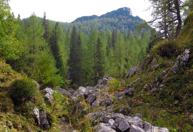 Jagasteig, im Hintergrund der Stubwieswipfel