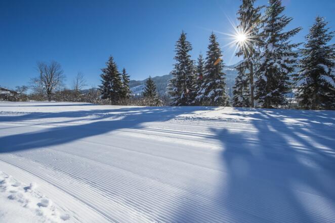 Scheffau_Sonnenloipe_Wilder_Kaiser