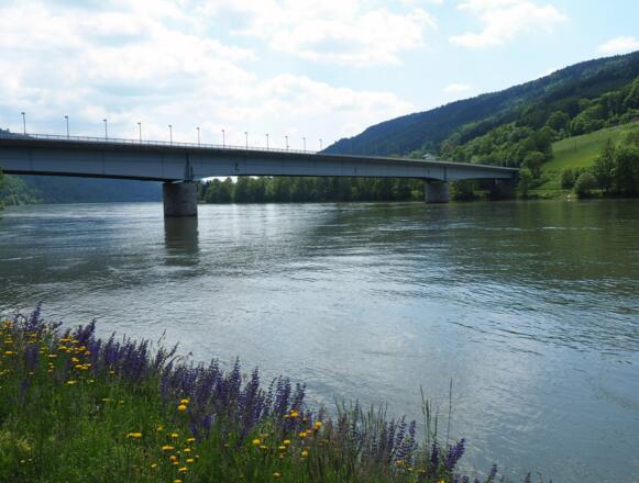 Donaubrücke Niederranna (295m)