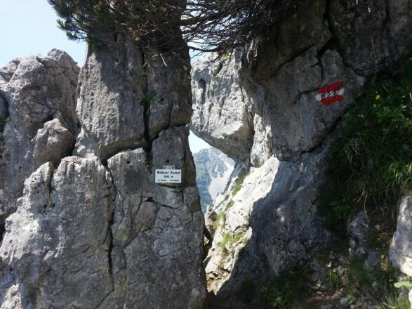 Going_Wilderer Kanzel_Wilder Kaiser