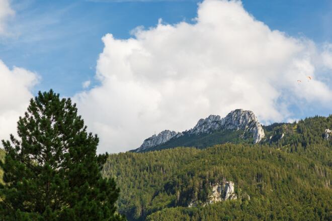 Ferienwohnung Zollhaus