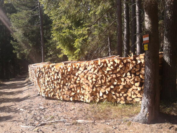 Holz bei der Hütte - Ostgipfel Braunberg