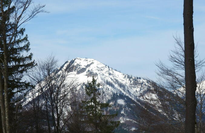 Eibenberg vom Angerlgupfgrat (~1150m)