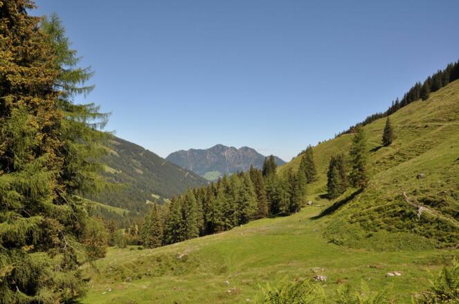 Greiter Graben Tal auswärts