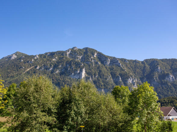 Blick auf den Gamskogel