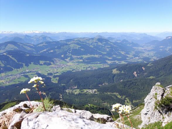 Going_Kleines Törl_Ausblick_Wilder Kaiser