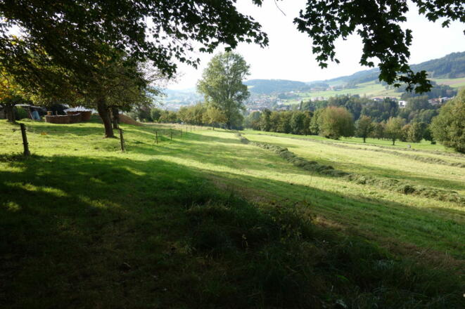 St. Oswald bei Freistadt (Rückweg)