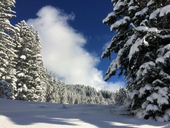 verschneite Landschaft