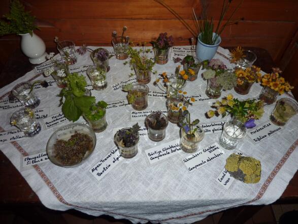 Monikas Kräutertisch - Tavolo delle erbe di Monika