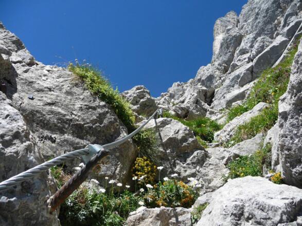 Ellmau_Gamsängersteig_Wilder Kaiser