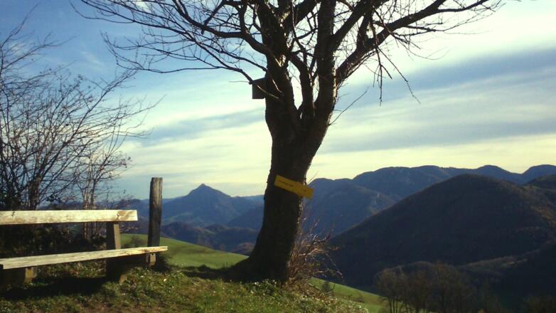 Aussichtspunkt um 740m