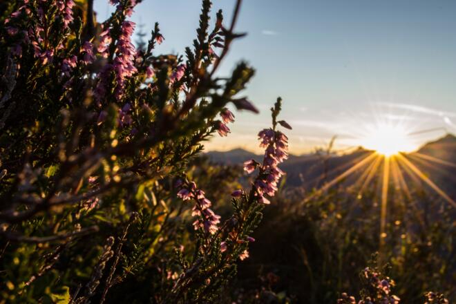 Sonnenaufgang Walmendingerhorn