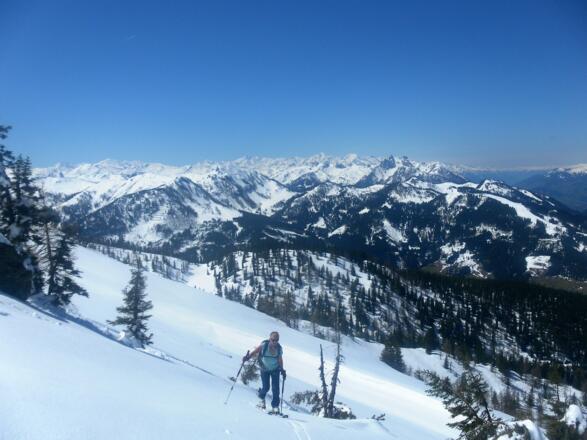 Glocknergruppe Nord aus der Westflanke